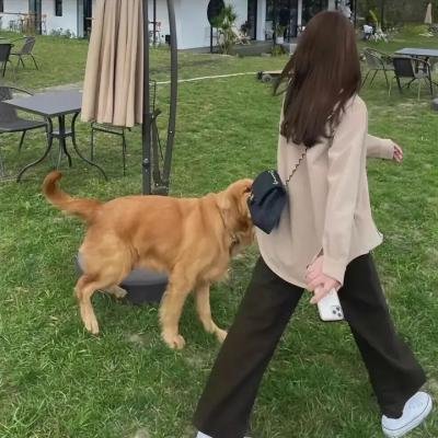 我们不能白头到老